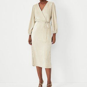 Ann Taylor Shimmer Pleated Wrap Dress